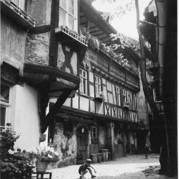 42987165_2176974159226449_5110574653433184256_n