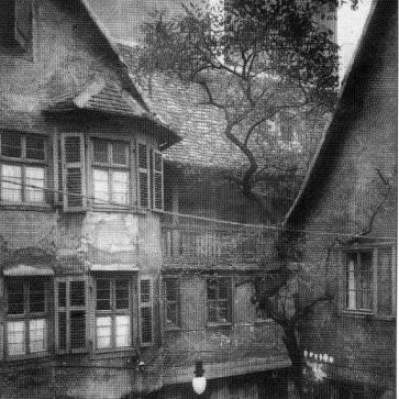 52898550_2267033200220544_7497515278079623168_n